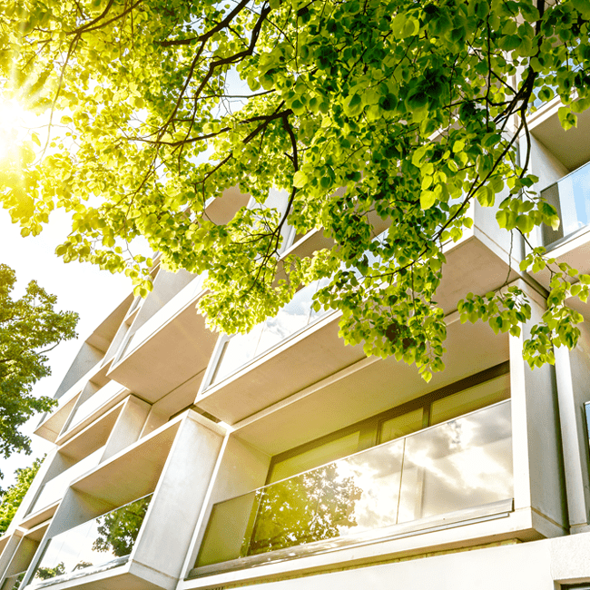 immeuble contemporain balcon arbre