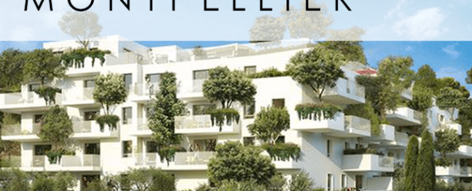 montpellier investissement immobilier