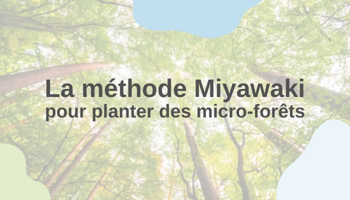méthode Miyawaki