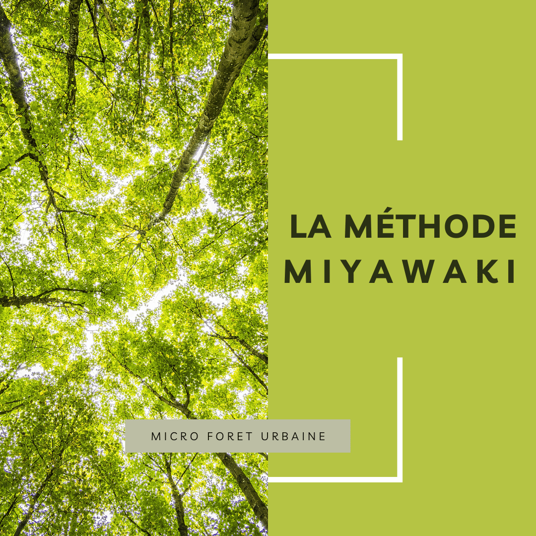méthode miyawaki