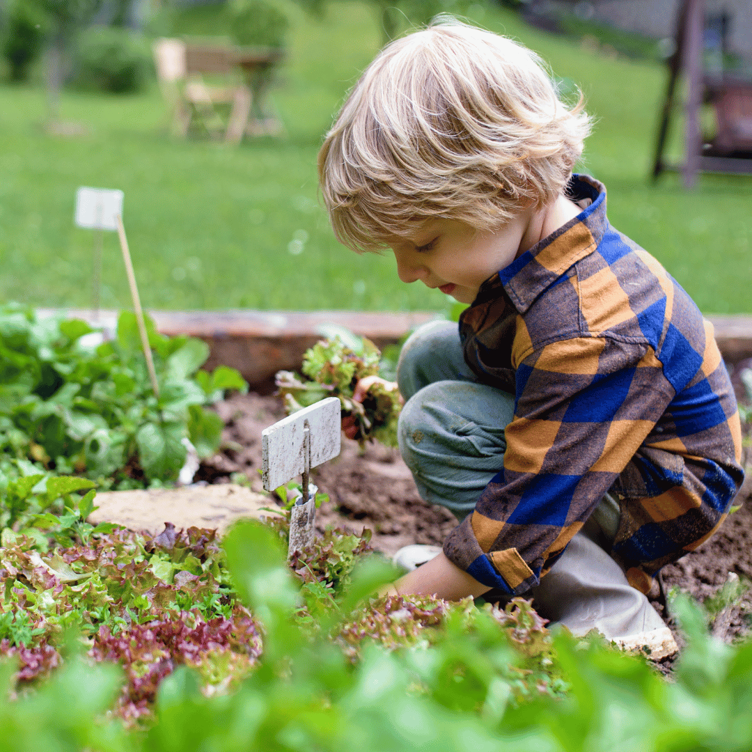 vegetalisation-urbaine2 enfant potager jardin